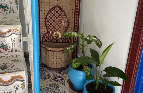Medina of Tangier Apartment | Pet-Friendly Cozy House Kasbah with 9.5/10 Guest Rating