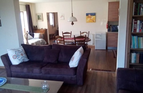 Couffy House | Eco-Friendly Gîte Near Beauval Zoo with Pool Access