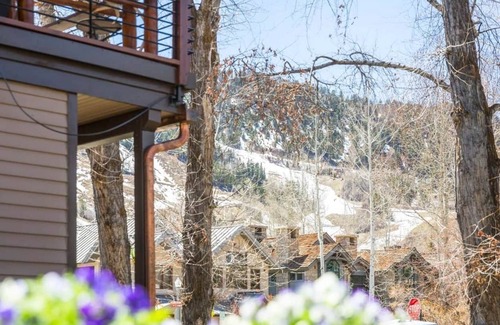 Downtown Apartment | Charming Half Duplex w/ Backyard in the Aspen Core!