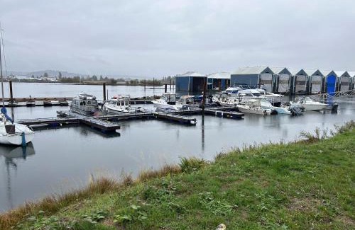 Campbell River Apartment | Ocean View Escape with Marina Access - Guest Rated 9.5/10