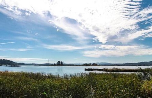Astoria Apartment | Idyllic Hotel Overlooking Astoria Waters - 10/10 Guest Rating