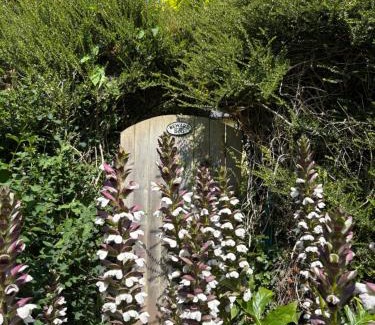 Taunton Apartment | Delightful French Gite Style Garden Apartment in Taunton
