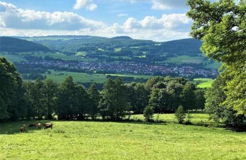 Unterweid House | Serene Holiday Home with Garden in Kaltennordheim