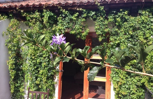 Antigua Guatemala House | Perfectly Decorated Home in Historic Central Antigua