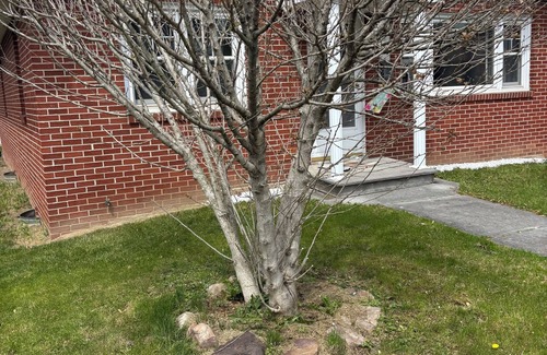 Romney House | Charming house in city limits of Romney West Virginia.