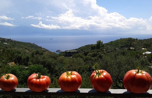Sant'Agata sui Due Golfi Apartment | Peaceful House with Ocean View & Pet-Friendly Amenities