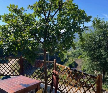 Mondim de Basto House | Delightful One Bedroom House with Pool and Terrace Retreat
