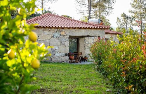 Mondim de Basto House | Relaxing 2-Bedroom House with Pool and Garden in Vilar de Ferreiros