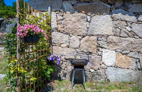Mondim de Basto House | Cozy One Bedroom House with Pool & Garden in Vilar de Ferreiros