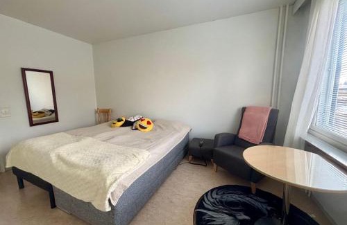 Kemi Apartment | Charming Kemi Apartment with Sauna department Free Parking