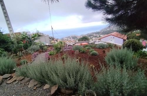 Ponta do Sol House | Relaxing One Bedroom Escape with Private Pool in Ponta do Sol