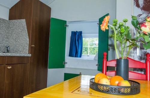 IJhorst Ski Chalet | Inviting Chalet with Pool in Scenic Holiday Park