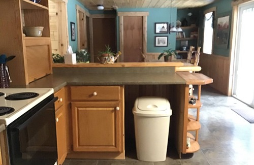 Wolverine House | Scenic Lodge on Blue Ribbon Stream with Family-Friendly Amenities