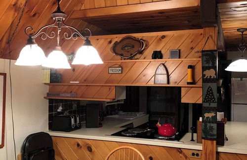 Freedom Cabin | Pet-Friendly Retreat with Lake Views at Ossipee Lake