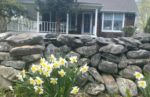 Jamestown House | Ocean View Cottage: Guest Rated 10/10 in Jamestown
