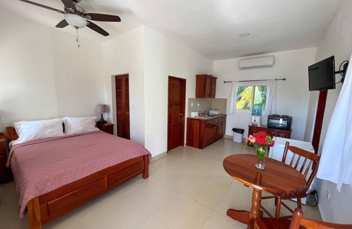 Caye Caulker Apartment | Elegant Private Balcony Studio with Pool and Spa Access