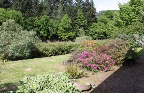 Belmont-sur-Buttant Cottage | Charming Renovated Farmhouse with Modern Amenities in Scenic Vosges Countryside