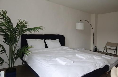 Aarau Apartment | Charming Studio 111 - Krone