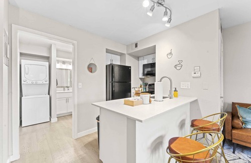 Greystone Center Apartment | Cozy Studio Near Downtown with Kitchen and Pet-Friendly Perks