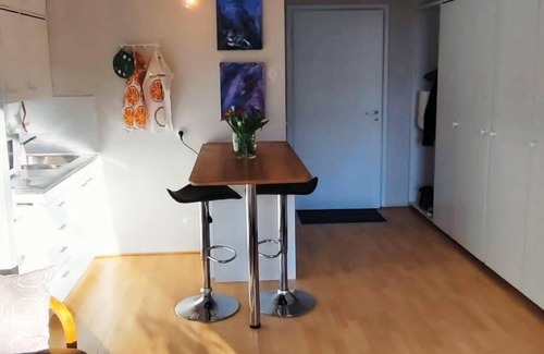 Kaakkoinen District Apartment | Charming studio for couples