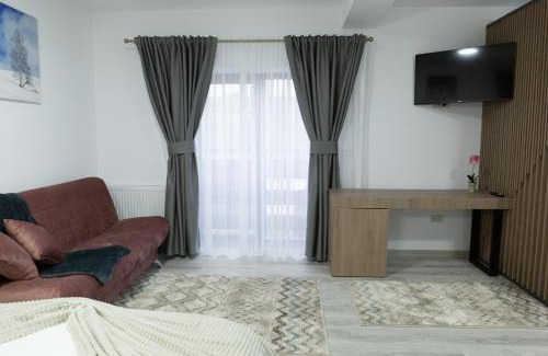 Frasin Apartment | Accessible Studio Retreat in Frasin for Families