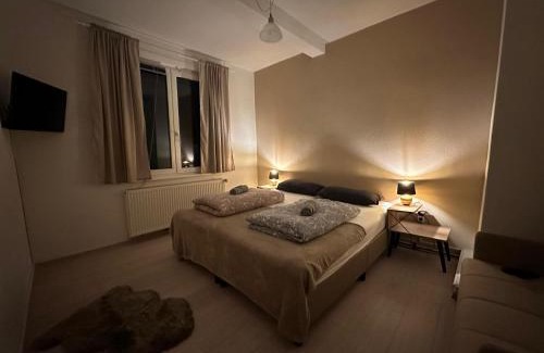 Villingen-Schwenningen Apartment | Idyllic Vacation Home in the Black Forest - Pet Friendly Stay