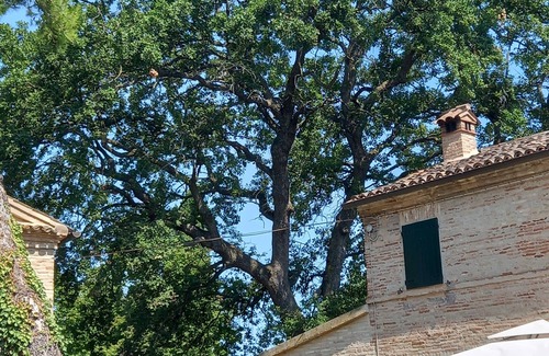 Osimo Villa | Idyllic Villa in Marche Hills Near Conero Riviera