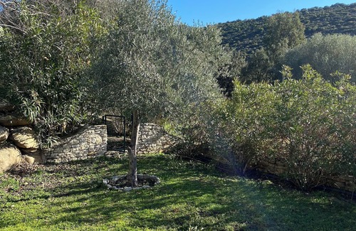 Oletta Villa | Charming villa Jo Poggi - Private swimming pool - Near Saint-Florent