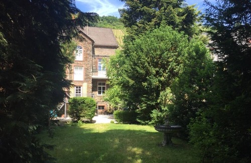 Traben-Trarbach Villa | Relaxing Winegrower's House with Pool Amid Vineyards