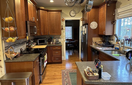 Haw Creek House | Serene Wooded Cottage Near Downtown Asheville, Pet Friendly