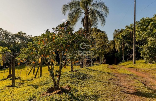 Nova Petropolis Apartment | Pet-Friendly Bungalow at Sítio do Otto - Guest Rated 10/10