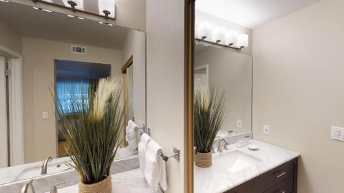 Newark Hotel | Inviting Chase Suite Hotel Newark Fremont with Pool & Pets Allowed