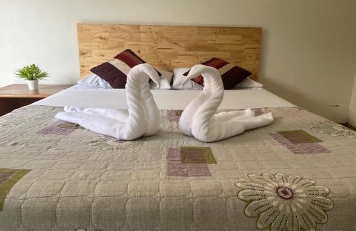 Chiang Rai Hotel | Family-Friendly Stay at Chat Residence Hotel, 4-Star Comfort