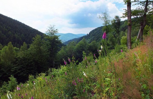 Perstejn Cabin | Discover Chata Údolíčko: Pet-Friendly Retreat with Hot Tub