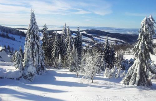 Cenkovice Ski Chalet | Cozy Chata Čenkovice: Pet-Friendly Retreat with Kitchen