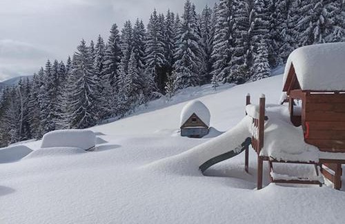 Dolni Mala Upa House | Pet-Friendly Escape at Chata Ťapka – Rated 9.4/10!