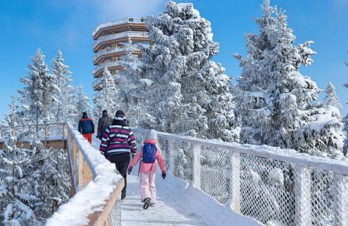 Jezersko House | Chata Eva: 4-Star Retreat with Pool and Pet-Friendly Perks