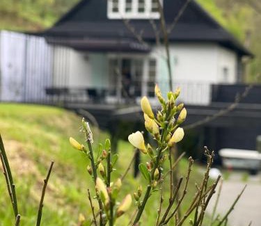 Myslenice Villa | Oceanfront Retreat at Chata Patykowo - Rated 10/10!