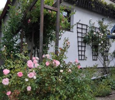 Skuhrov Cabin | Pet-Friendly Retreat: Chata Pavla with Perfect 10 Score