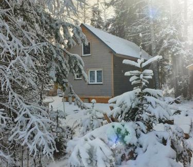 Tatranska Strba Ski Chalet | Pet-Friendly Chata pod zubačkou with Hot Tub & 9.9/10 Rating