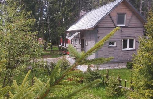 Tatranska Strba Ski Chalet | Pet-Friendly Chata pod zubačkou with Hot Tub & 9.9/10 Rating