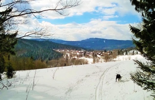 Jachymov Apartment | Pet-Friendly Retreat at Chata-R Mariánská - Rated 9.3/10
