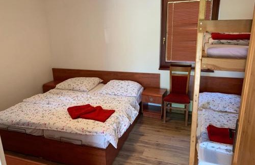 Dolni Moravice Apartment | Pet-Friendly Getaway at Chata Salma Jeseníky with Hot Tub
