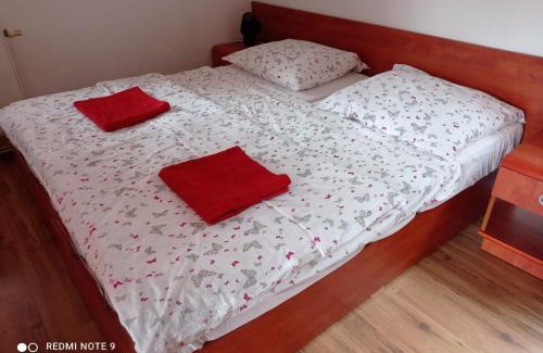 Dolni Moravice Apartment | Pet-Friendly Getaway at Chata Salma Jeseníky with Hot Tub