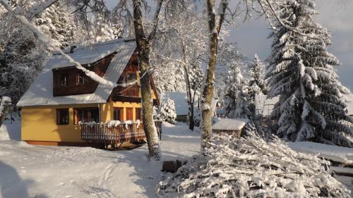 Lipno nad Vltavou Cabin | Pet-Friendly Getaway at Chata Sandra with Great Reviews