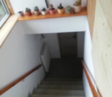 Suchdol nad Luznici Apartment | Family-Friendly Stay at Chata Suchdol with Great Reviews