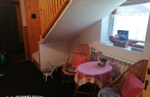 Zdiar House | Pet-Friendly Retreat at Chata u Jany: 10/10 Guest Rated