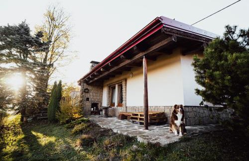 Rajnochovice Ski Chalet | Discover Chata u Tesáku: Pet Friendly with Hot Tub Bliss