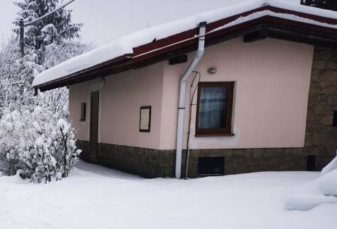 Rajnochovice Ski Chalet | Discover Chata u Tesáku: Pet Friendly with Hot Tub Bliss