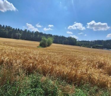 Jedovnice House | Pet-Friendly Retreat at Chata v Jedovnicích by Olšovec